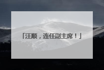 汪顺，连任副主席！